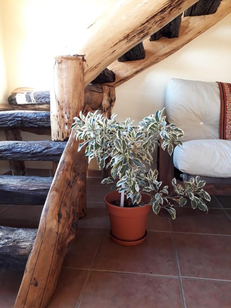 Morena El Chalten Dış mekan fotoğraf